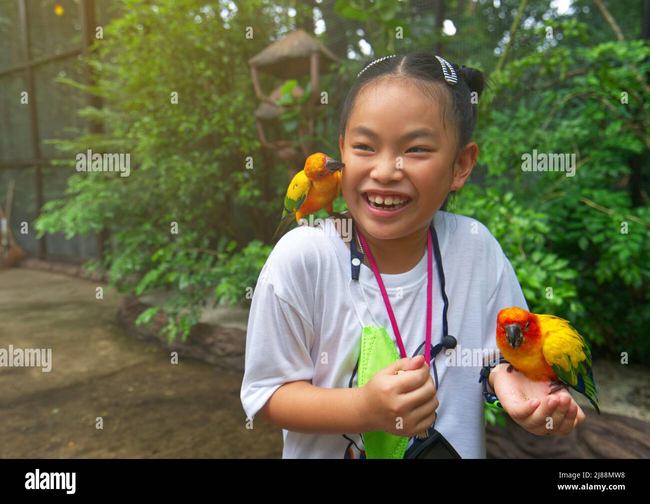 Enfant asiatique fille avec l'amour oiseau sur la main et l'épaule, asiatique petite fille jouant avec l'oiseau Sun conure perroquet oiseau au zoo, grand sourire sur le visage, pendre f Banque D'Images