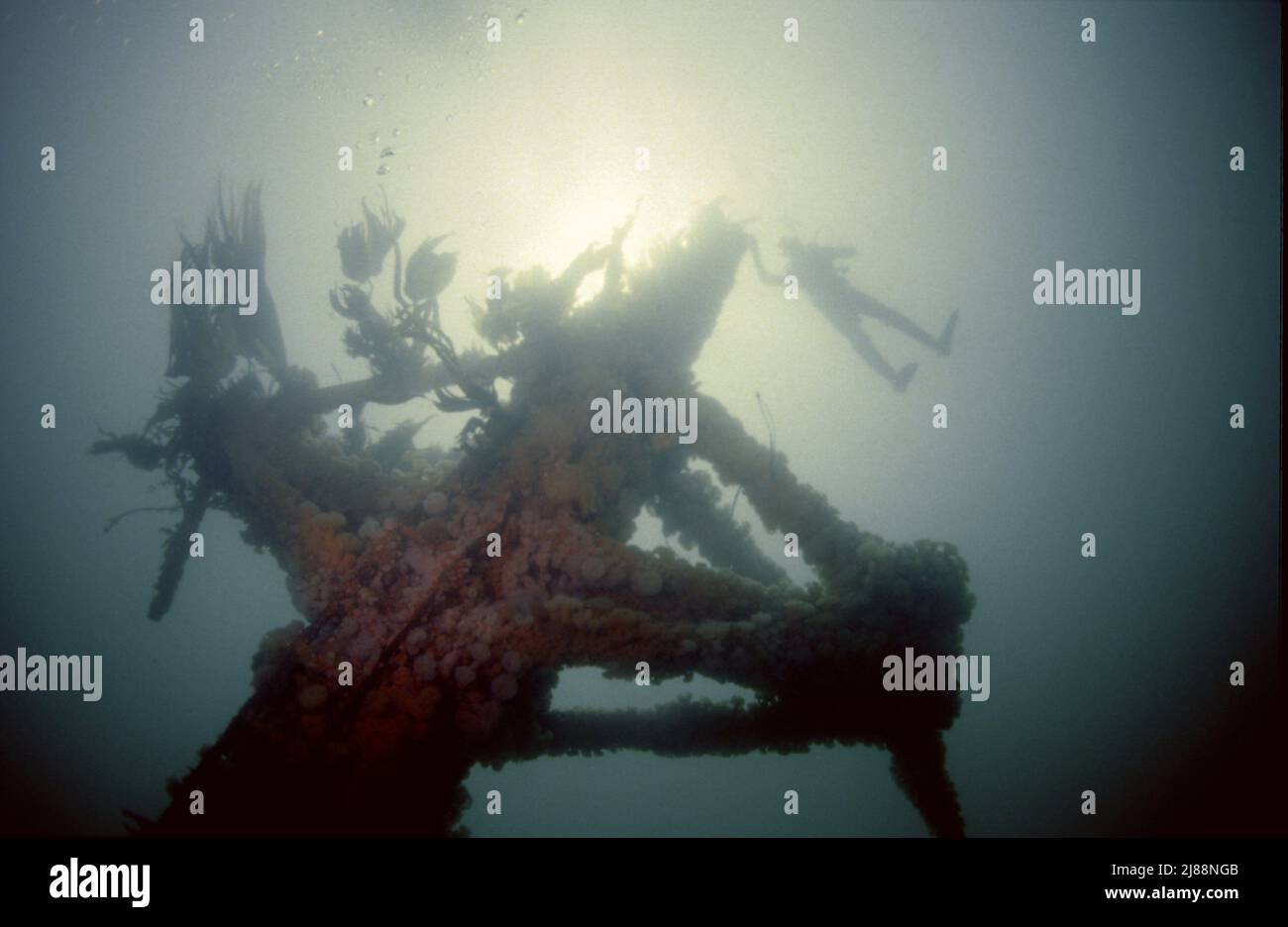 SS Hispania a coulé le on18 décembre 1954, après avoir frappé le Sgeir More (Big Rock) le capitaine Ivan Dahn a refusé de partir et a choisi de descendre avec le navire. Banque D'Images