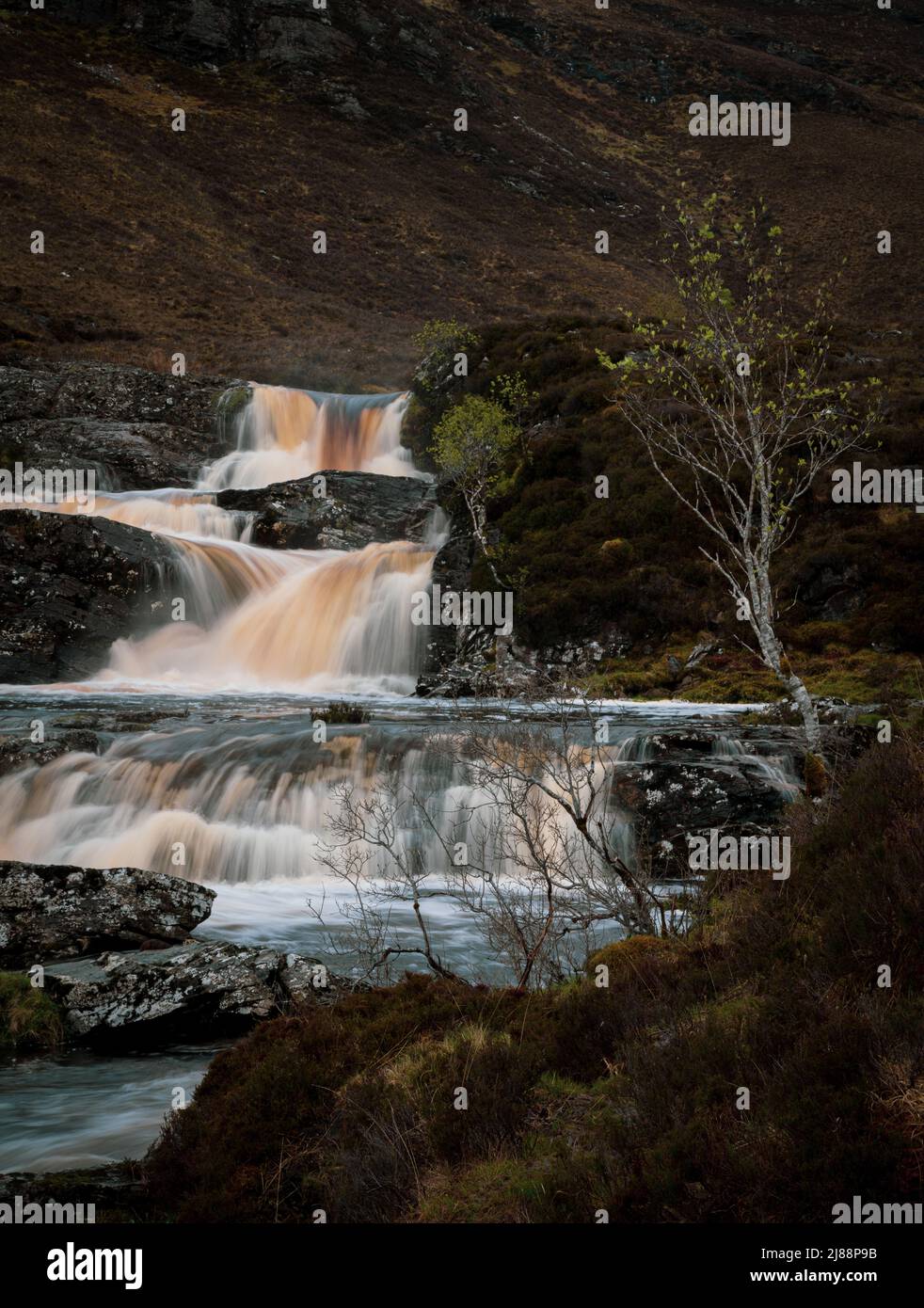 Dundonnell Fall Lone Tree Banque D'Images