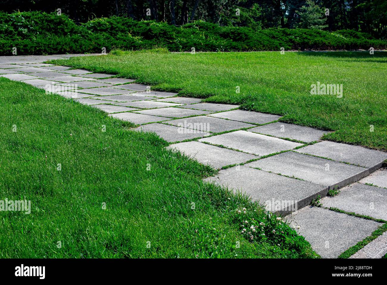 chemin de jardin fait de carreaux carrés envahi avec de l'herbe dans un parc avec une pelouse verte en gros plan sur le chemin sur le parc avec prairie et les plantes éclairées par le soleil, nobod Banque D'Images