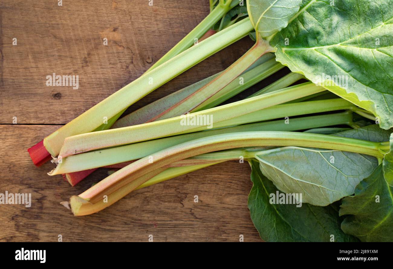 Jeunes feuilles de rhubarbe fraîches sur une ancienne table en bois. Vue de dessus. Plats végétariens. La plante médicinale est utile pour le système cardiovasculaire. Banque D'Images