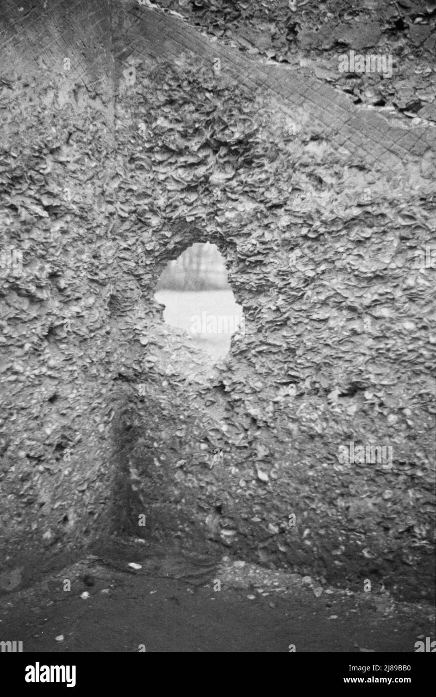 Ruines de la mission espagnole supposée, Géorgie. Banque D'Images