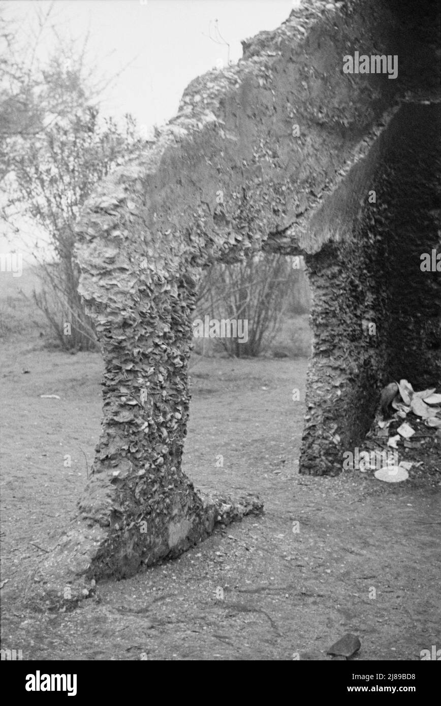 Construction tabby. Ruines de la mission espagnole supposée, St. Marys, Géorgie. Banque D'Images