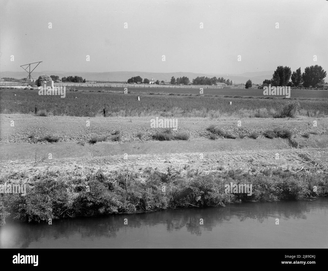 Washington, vallée de Yakima, près de Wapato. Nom de l'emprunteur, Edgar Hardt. Sur la ferme d'achat de tenant. Quarante acres, prix six mille cinquante dollars, tout le stock et la machinerie inclus. Ferme irriguée diversifiée, cultivant des raisins, des tomates, des cantaloupes et des pastèques, du maïs doux et cultivé, du foin et des céréales. Ils ont six vaches, des porcs. Banque D'Images