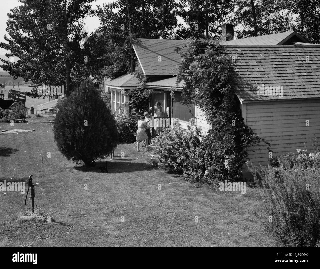 [Sans titre, peut-être lié à: Washington, vallée de Yakima, près de Wapato. Un client du programme d'achat des locataires (Farm Security Administration), Jacob N. Schrock. Cette famille avec huit enfants vivait depuis vingt-cinq ans dans une ferme rocheuse louée dans cette vallée. Ils possèdent maintenant quarante-huit acres de bonne terre, cette bonne maison, prix six mille soixante-dix cent soixante-dix dollars. Ils élèvent du foin, des céréales, des produits laitiers et des porcs. Mme Schrock dit "beaucoup de différence entre cette vieille pile de roche, et autour d'ici."]. Banque D'Images