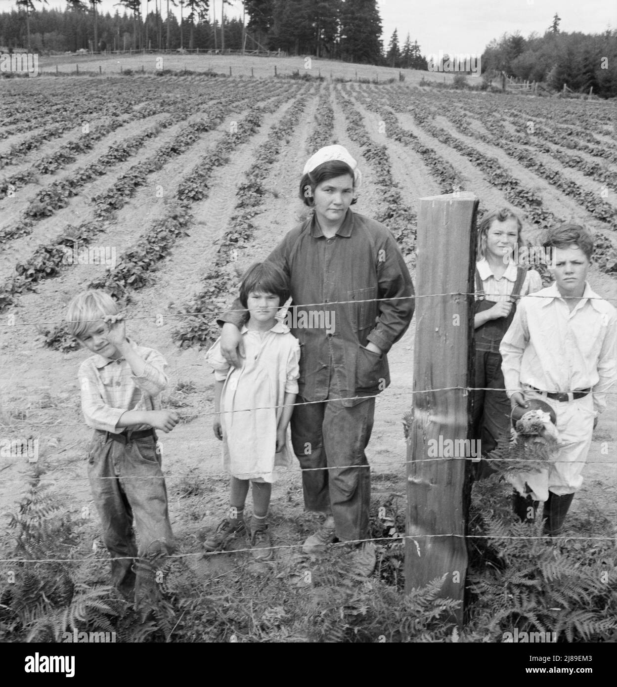 Les enfants et la mère Arnold sur leur terrain nouvellement clôturé et dégagé. Notez les plantes de fraise. WESTERN Washington, Thurston County, Michigan Hill. Voir la légende générale numéro 36. Banque D'Images