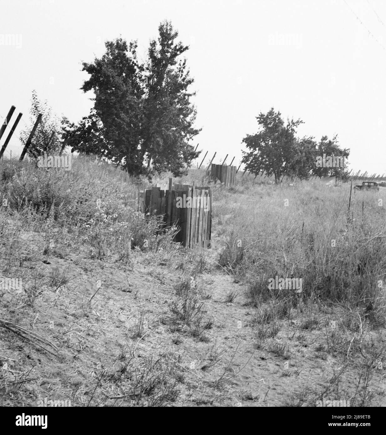 Toilettes fournies pour les cueilleurs à houblon dans le camp des producteurs. Près de Grants Pass, comté de Josephine, Oregon. ['femmes' peint sur le bâtiment de toilettes en bois]. Banque D'Images