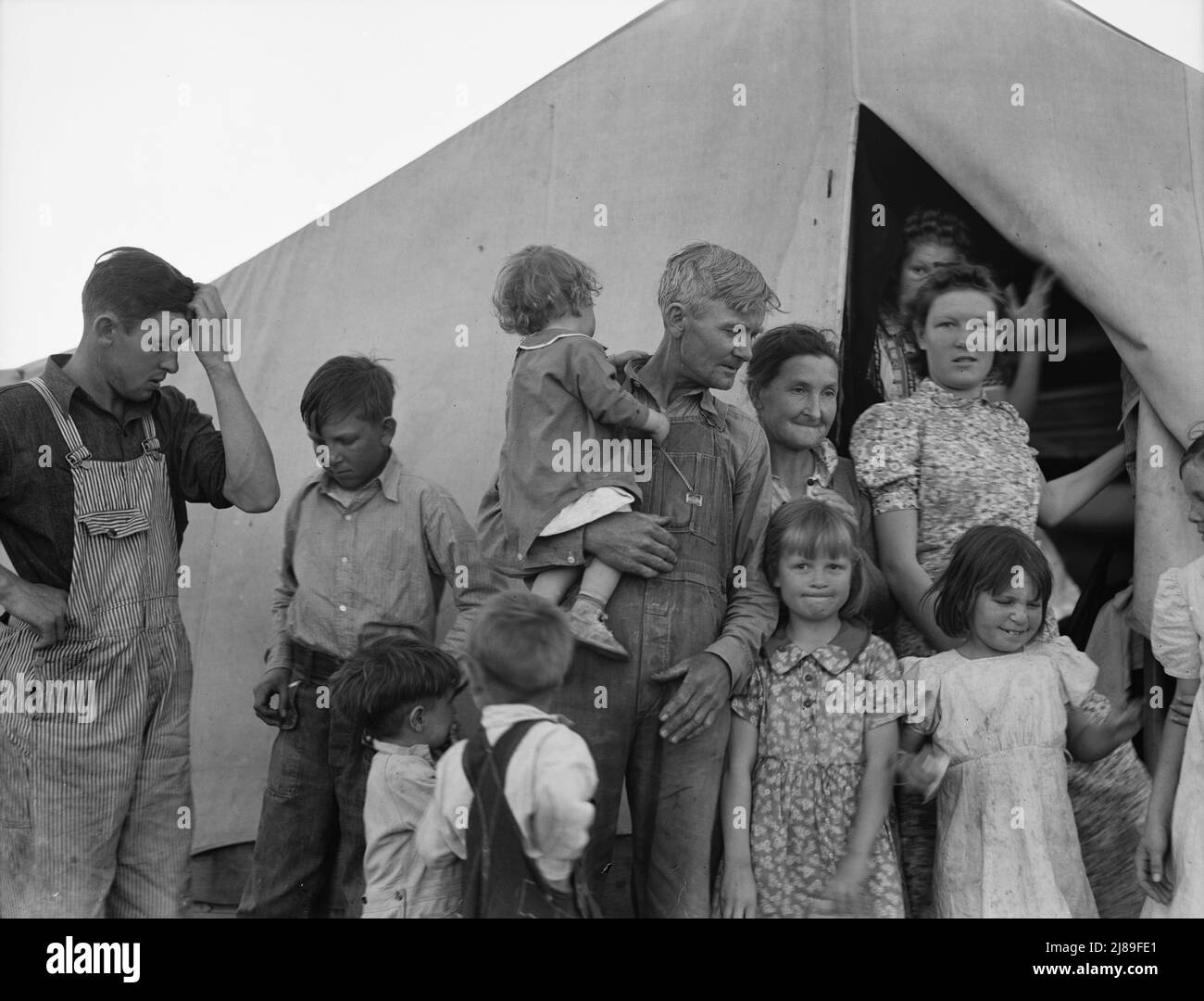 Dans le camp de travail des migrants de l'Administration de la sécurité agricole (FSA) pendant la récolte du pois. Famille d'Oklahoma avec onze enfants. Père, fille aînée et fils aîné travaillant. Elle: "Je veux retourner à où nous pouvons vivre heureux, vivre décent, et faire pousser ce que nous mangeons." Il: "J'ai fait mon erreur et maintenant nous ne pouvons pas revenir. Je n'ai rien à cultiver avec. » Brawley, comté impérial, Californie. Banque D'Images