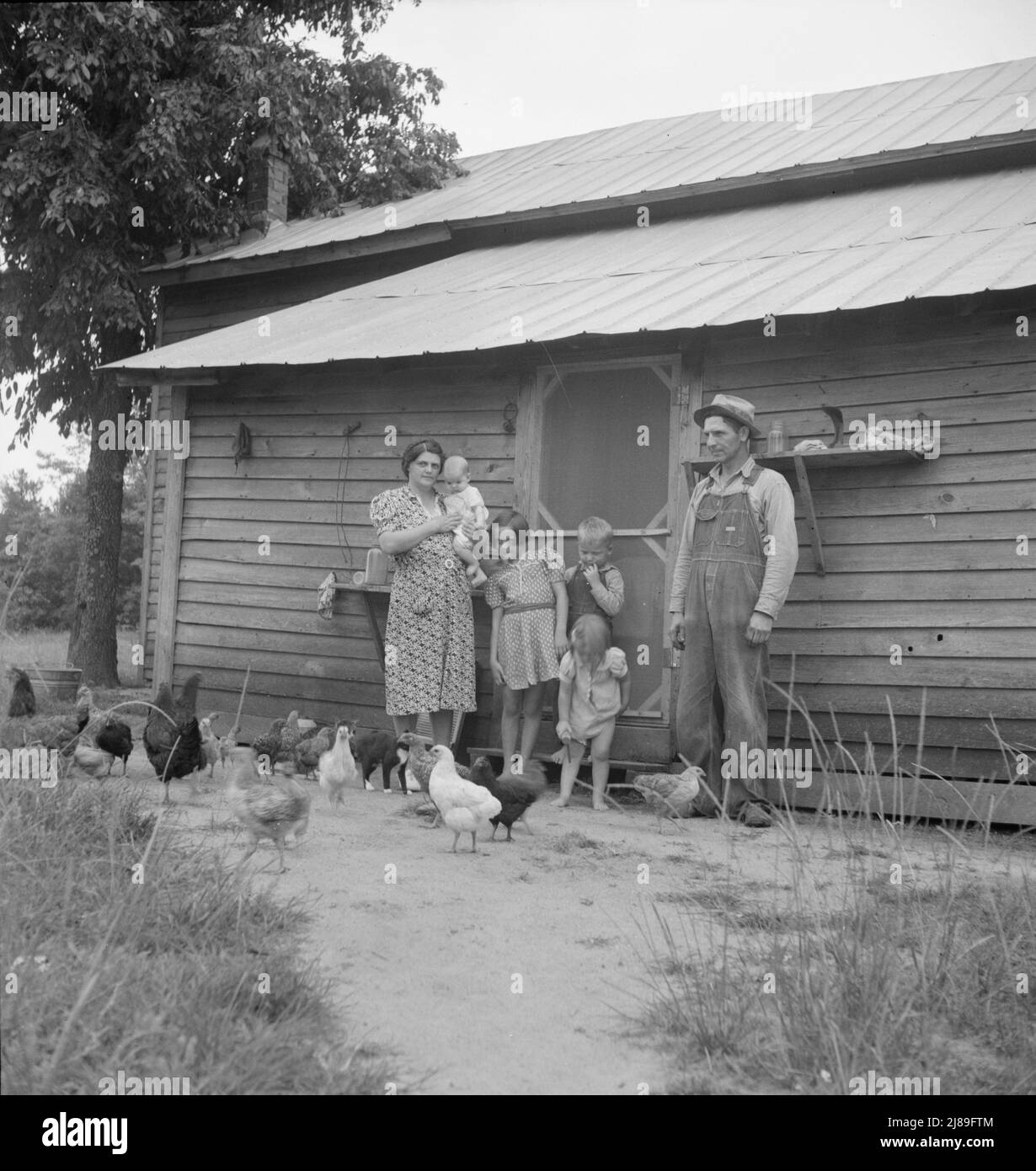 [Sans titre, peut-être lié à: Tabac Sharecropper avec sa fille la plus ancienne. Person County, Caroline du Nord]. Banque D'Images