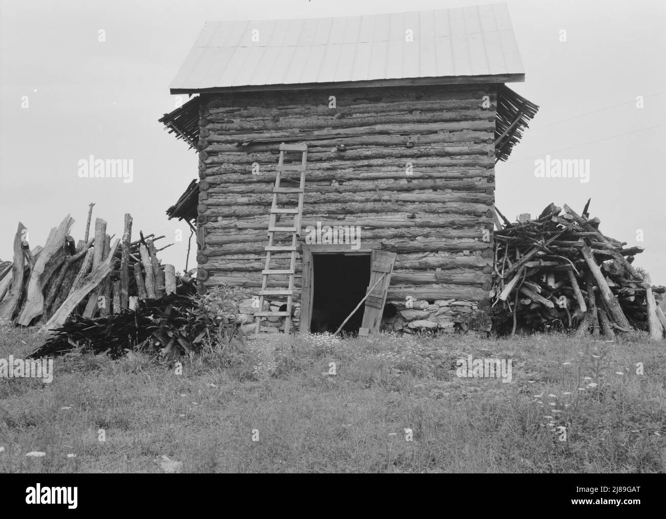 Bois empilé vers le haut préliminaire à tirer le tabac. Comté de Person, Caroline du Nord. Banque D'Images