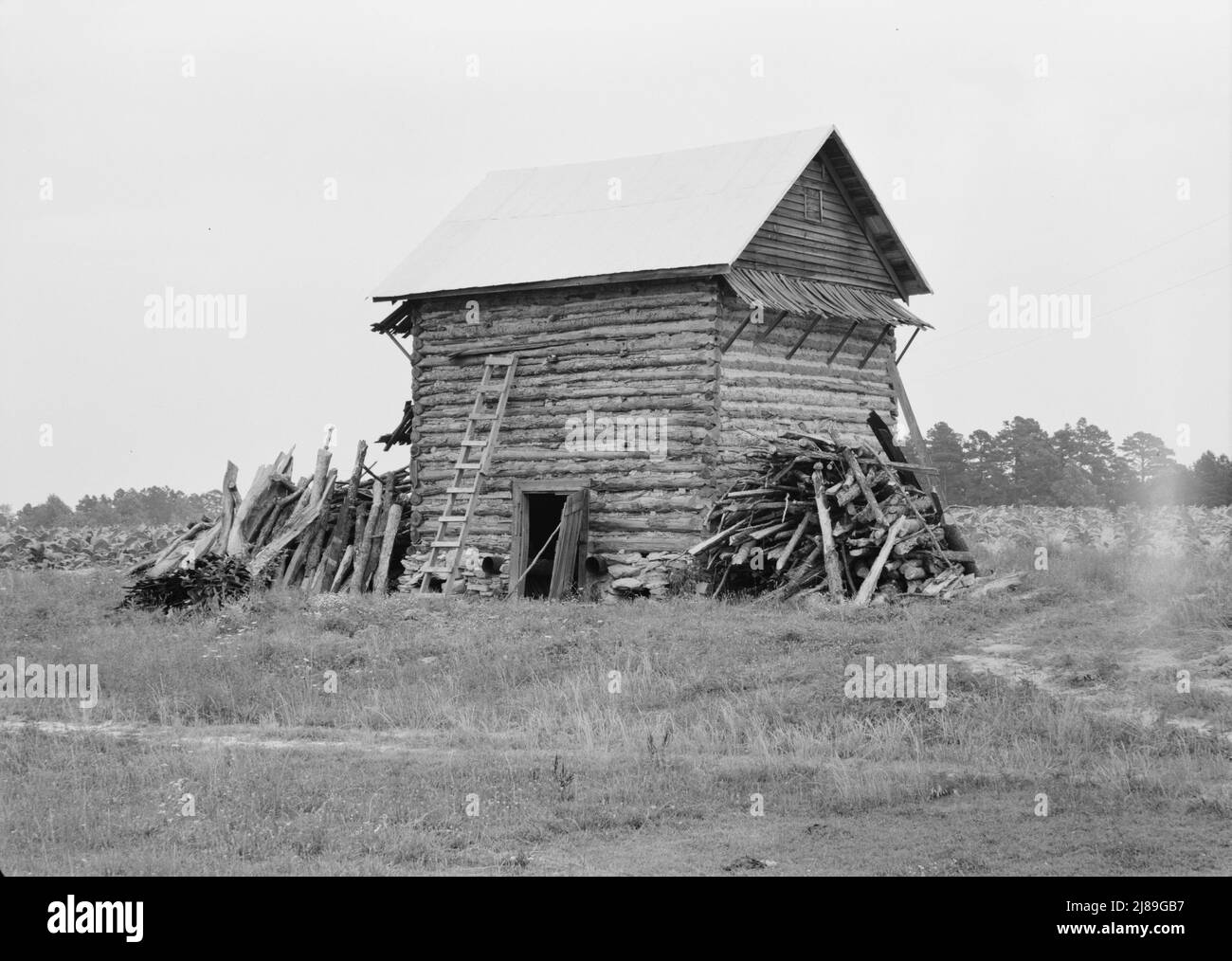 Grange à tabac sans abri avant. Le sentier de l'autre côté du champ mène à la maison principale. Comté de Person, Caroline du Nord. Banque D'Images
