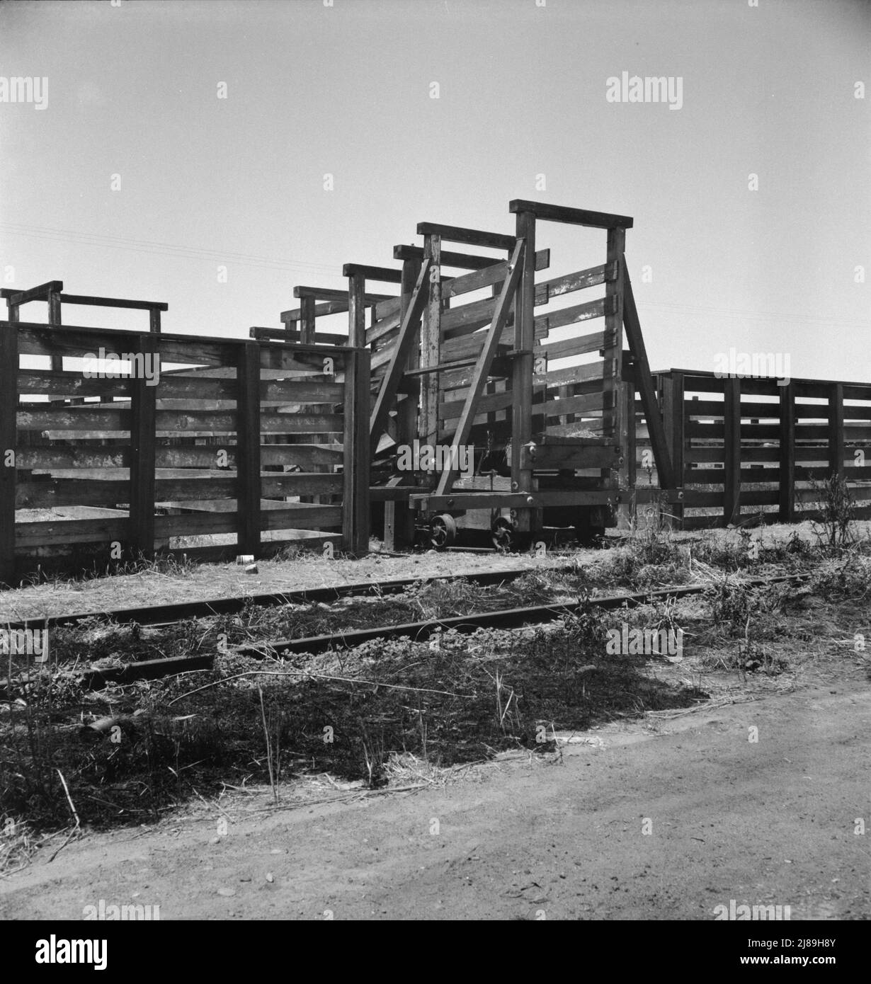 Fresno County sur la US 99. La fin de la piste de Chisholm. Point de chargement pour l'expédition de bétail, montrant la chute de bétail et une partie de corral. Banque D'Images