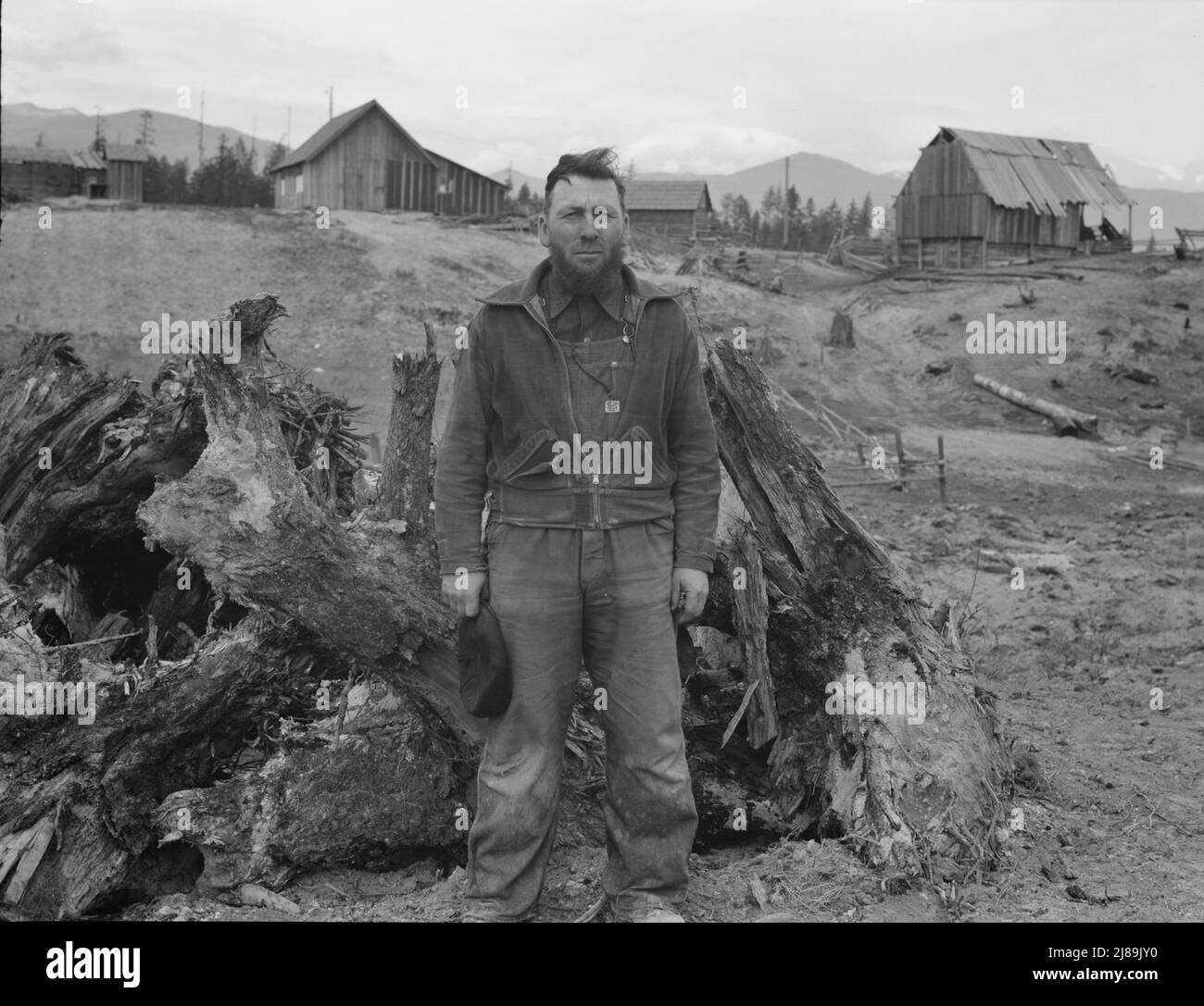 Mennonite Farmer, anciennement producteur de blé au Kansas, développe maintenant un ranch de souche dans le comté de Boundary, Idaho. Banque D'Images