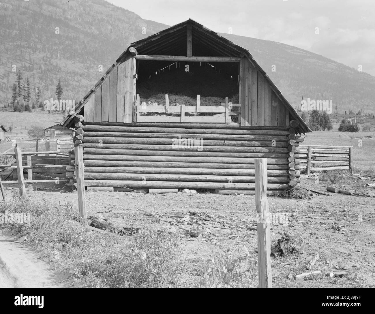 Grange en bois. L'emprunteur de la FSA (Farm Security Administration) prévoit développer un ranch laitier. Connectez-vous en arrière-plan. Comté de Boundary, Idaho. Banque D'Images
