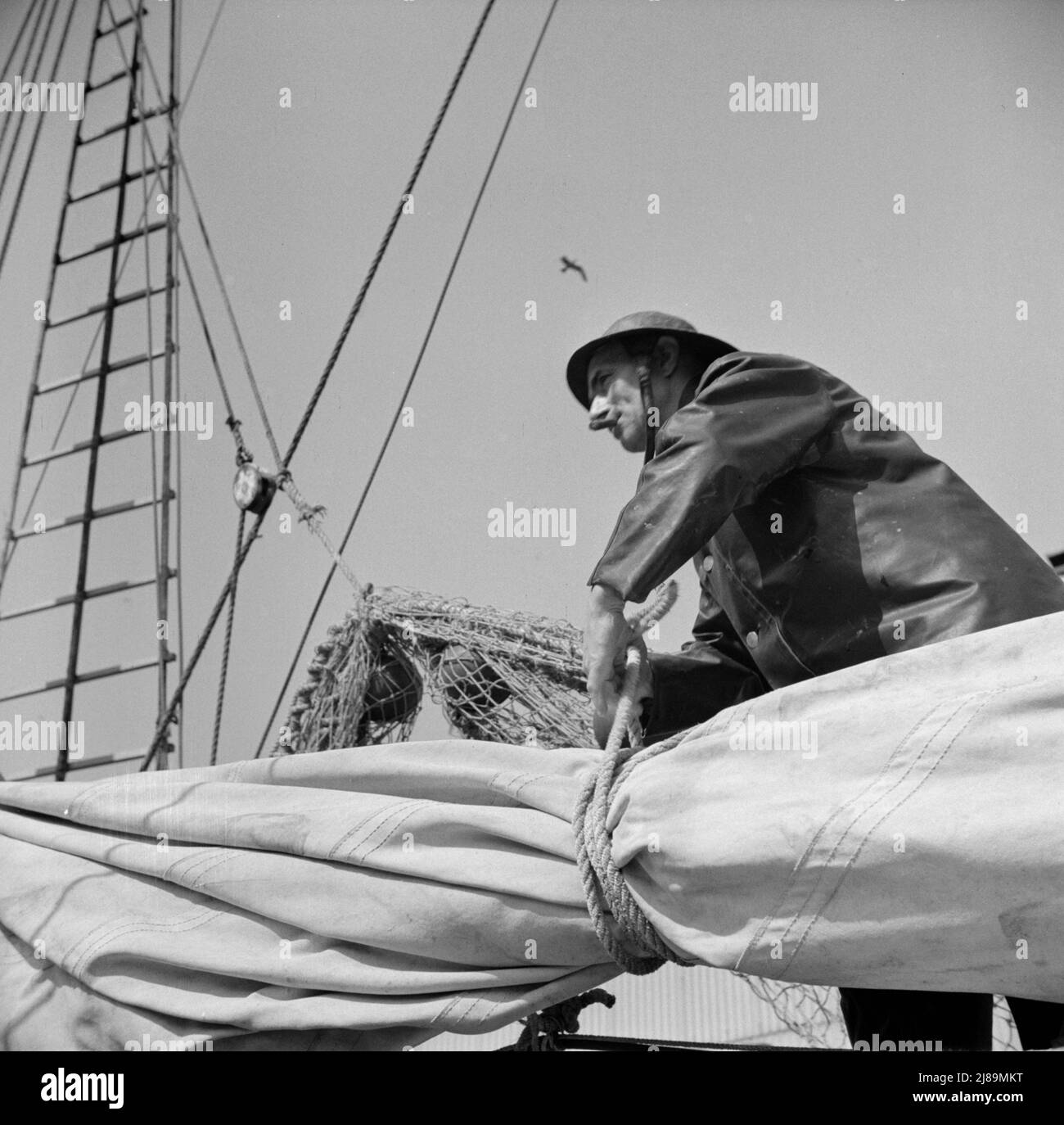 [Photo sans titre, peut-être liée à: New York, New York. Un pêcheur de la Nouvelle-Angleterre préparant son bateau pour quitter les quais de New York]. Banque D'Images