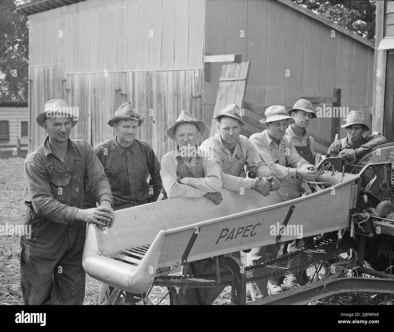 Sept des huit agriculteurs présentés avec leur coupe-champ en équipe sur la ferme Miller, où ils travaillent à remplir le silo. West Carlton, comté de Yamhill, Oregon. Banque D'Images