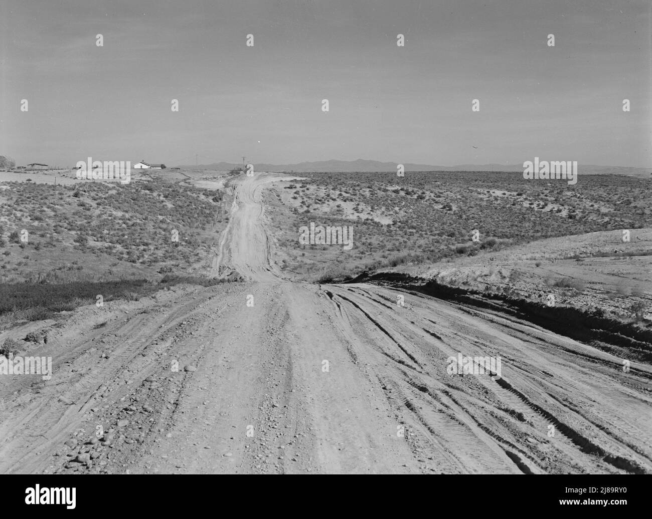 Vue sur le banc récemment récupéré. Emmett Smith (ferme en arrière-plan), "a pris sa place hors du Bush il y a 3 ans." Dead Ox Flat, comté de Malheur, Oregon. Banque D'Images