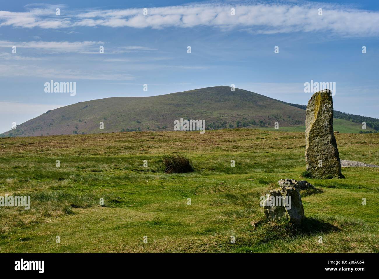 Mitchell's Fold Stone Circle, près de Priest Weston, Shropshire Banque D'Images