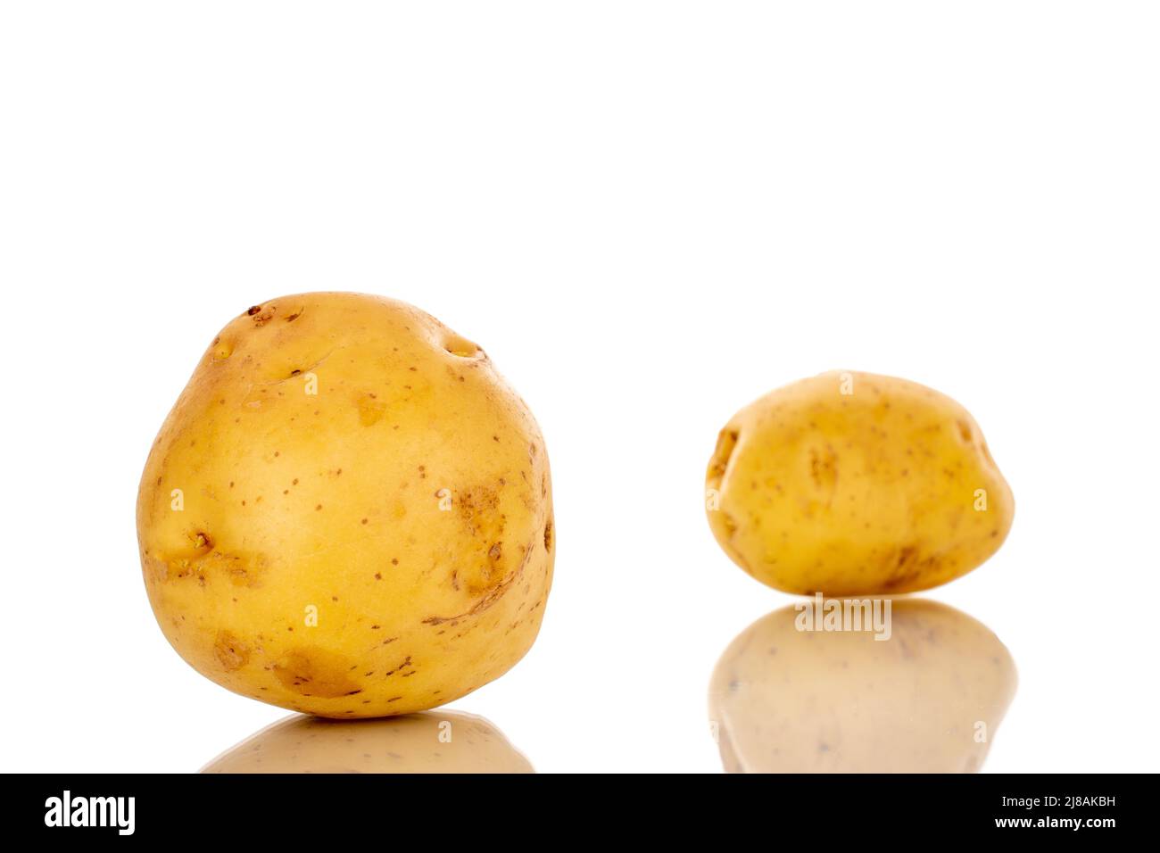 Deux pommes de terre biologiques brutes, en gros plan, isolées sur fond blanc. Banque D'Images