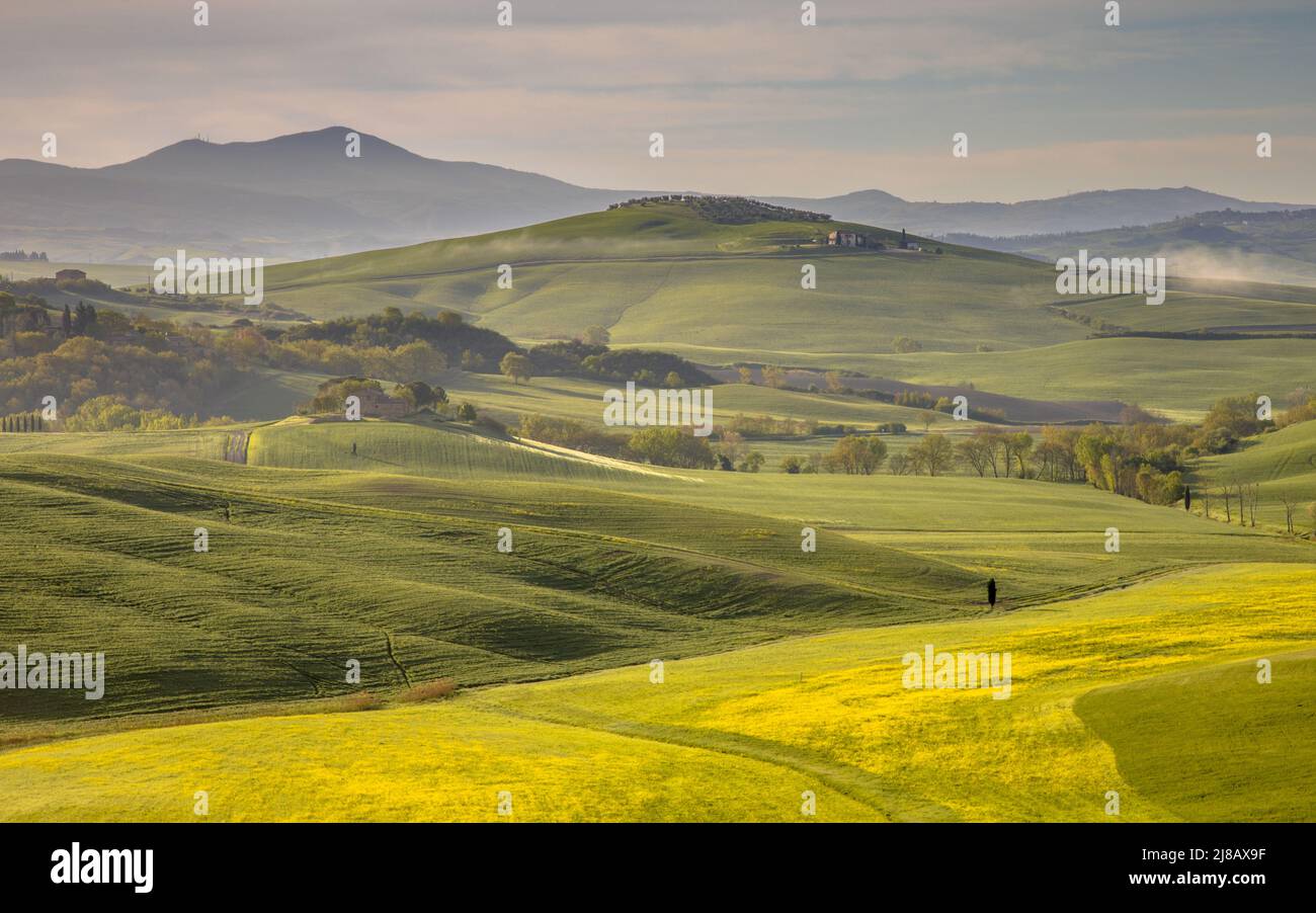 Paysage tranquille image de collines brumeuses en Toscane, Italie, avril. Banque D'Images Paysage tranquille image de collines brumeuses en Toscane, Italie, avril. Banque D'Images