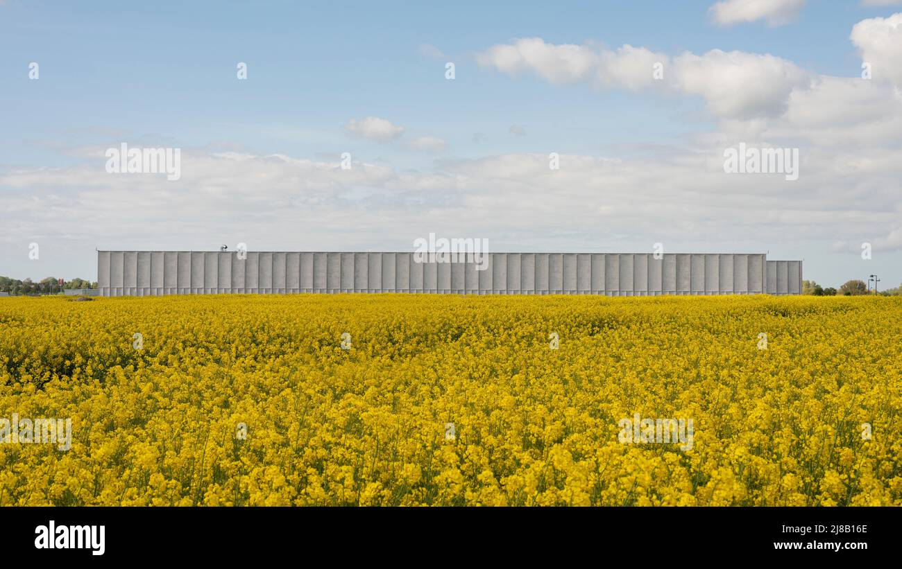 Bâtiment de stockage pour la Bibliothèque royale danoise et le Musée national dans un champ de colza jaune à Vinge, Danemark, 14 mai 2022 Banque D'Images