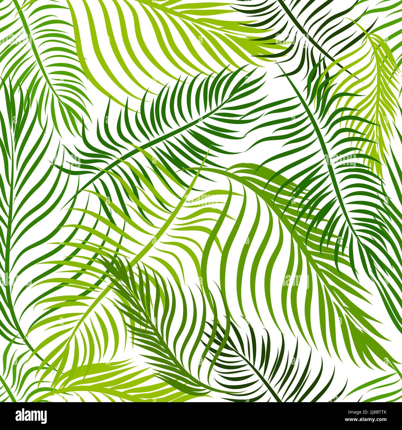 Feuilles de palmier à fond vert sans couture. Illustration vectorielle Illustration de Vecteur