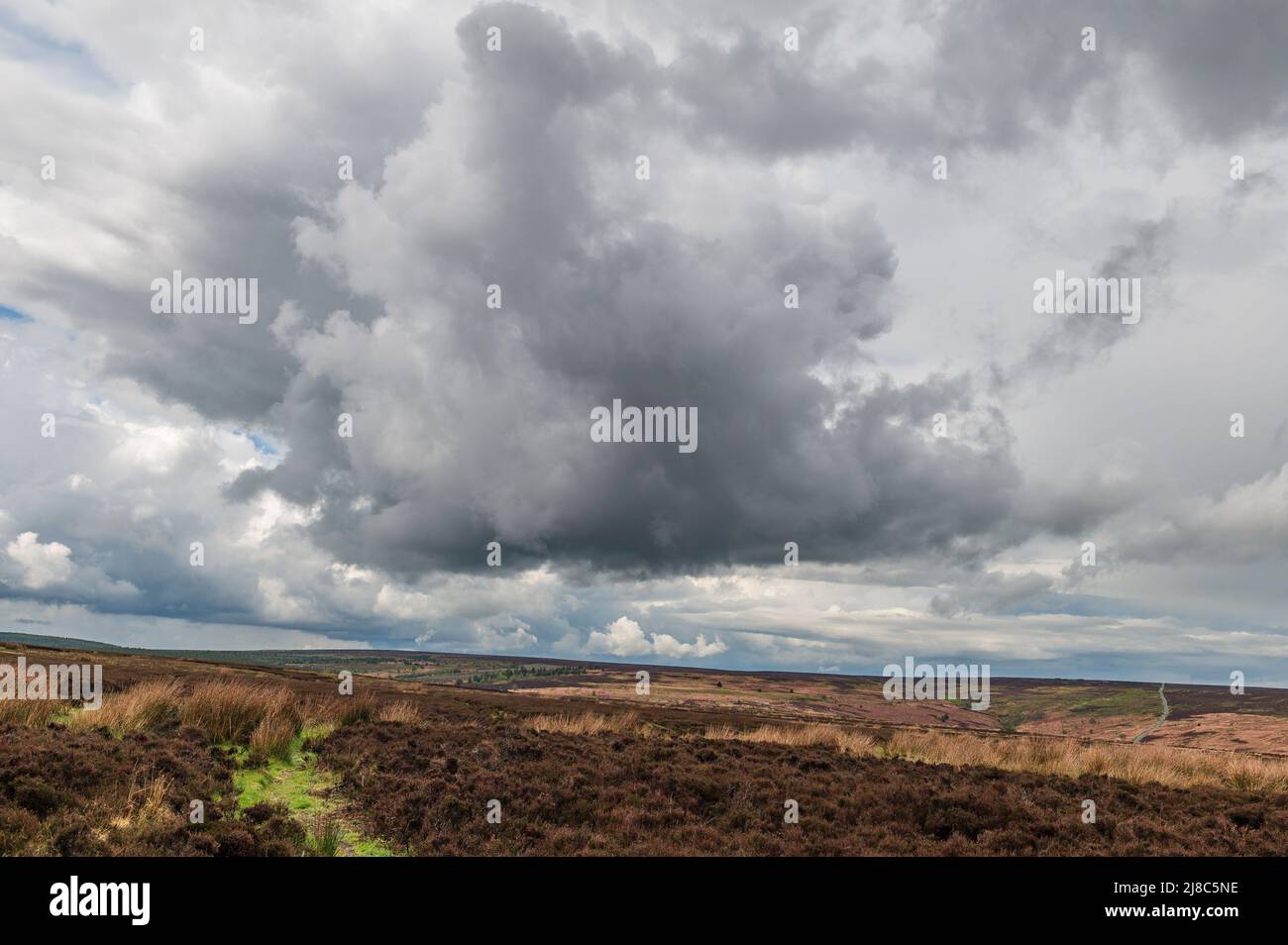 Nuages orageux survolant Wheeldale Moor dans le parc national des Moors de North York Banque D'Images