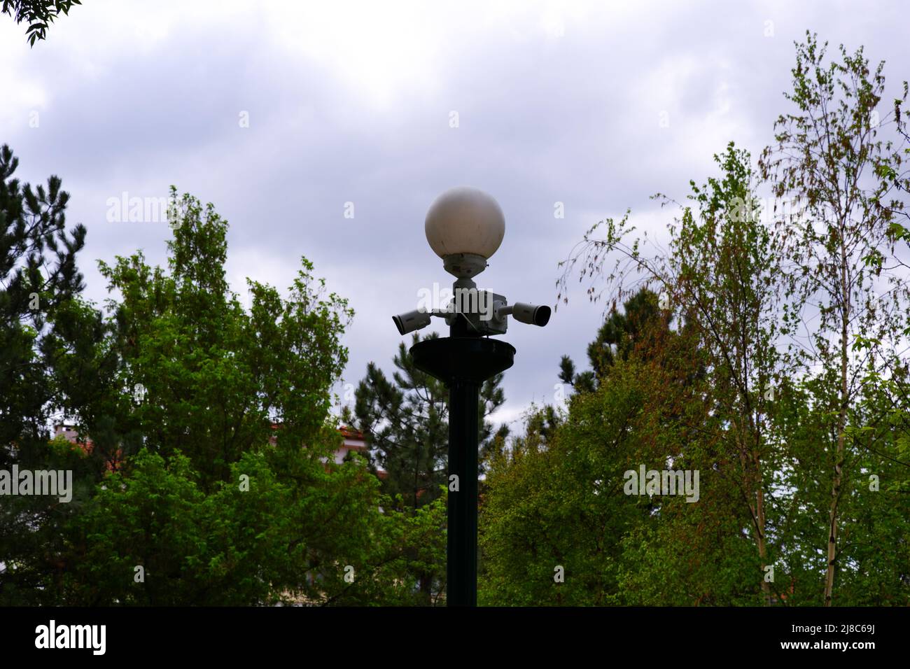 Caméra de sécurité dans la nature à l'extérieur, dans des arbres verts Banque D'Images