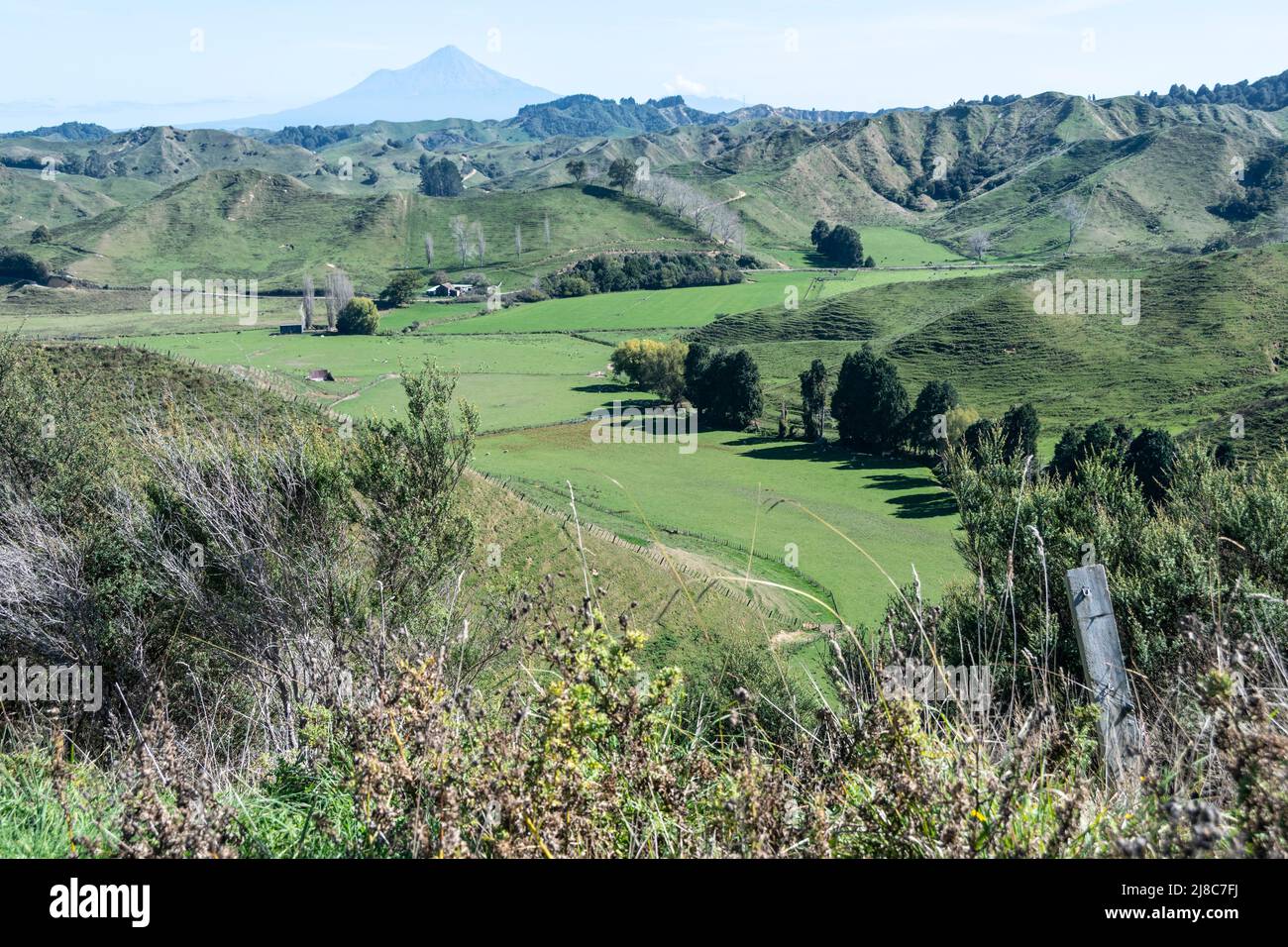 Mont Taranaki, collines et terres agricoles, de Strathmore Saddle, près de Stratford, Taranaki, Île du Nord, Nouvelle-Zélande Banque D'Images