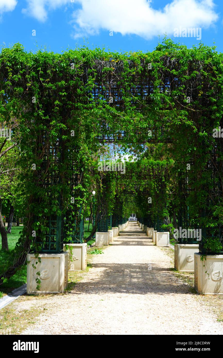 Plantes verticales près d'un sentier de randonnée dans un beau jardin Banque D'Images