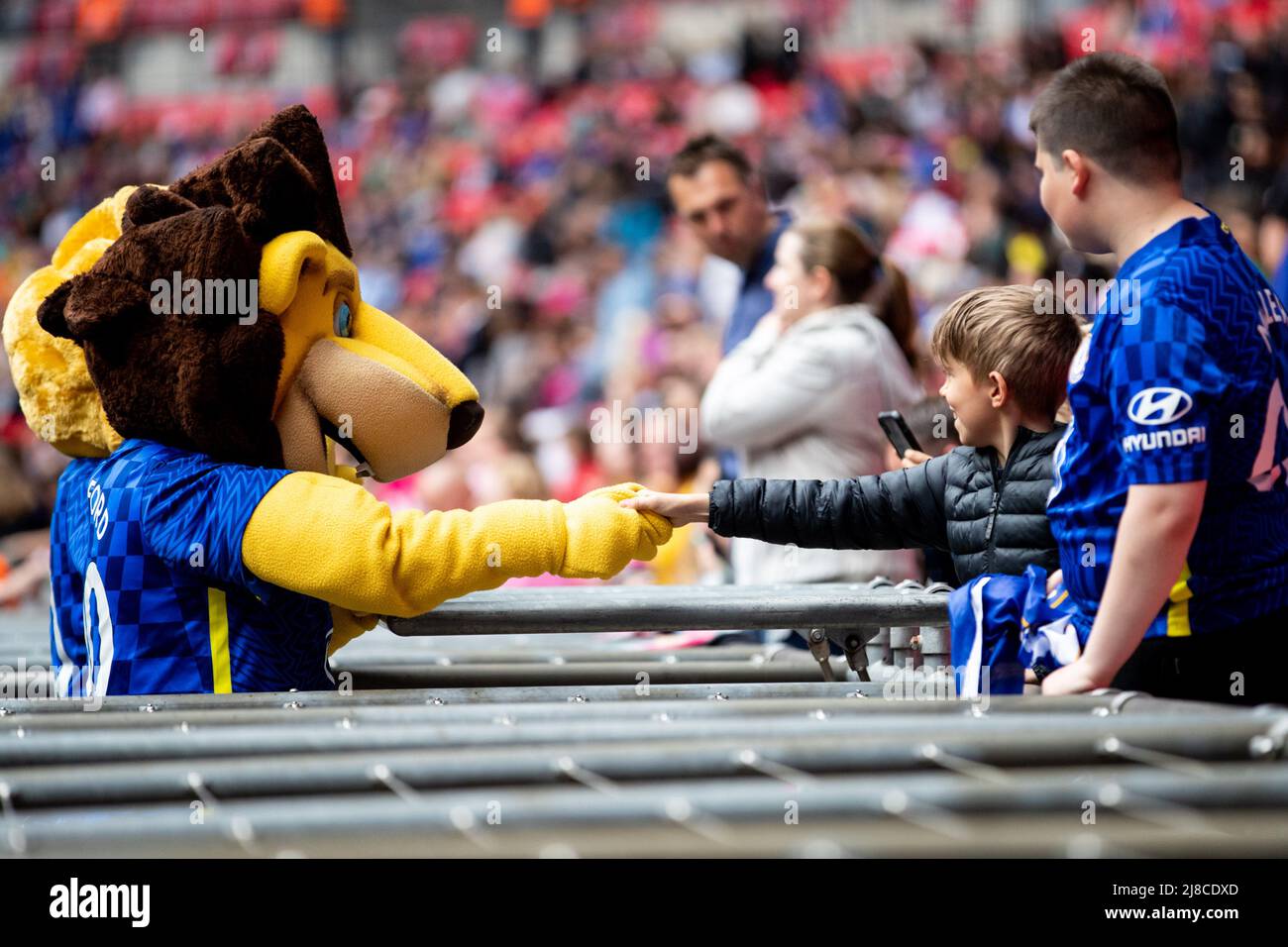 Chelsea Mascot Stamford serre la main avec un jeune supporter de Chelsea avant le match de finale de la coupe Vitality Womens FA entre Manchester City et Chelsea au stade Wembley à Londres, en Angleterre. Liam Asman/SPP Banque D'Images