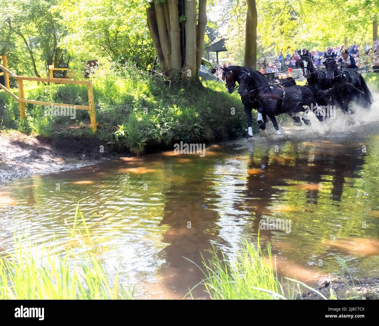 Windsor Berkshire Royaume-Uni 14 mai 2022 Boyd Excell AUS offre un crédit pour le marathon quatre-en-main du Grand Prix international Land Rover CAIO4. Gary Blake/Alay Live News Banque D'Images