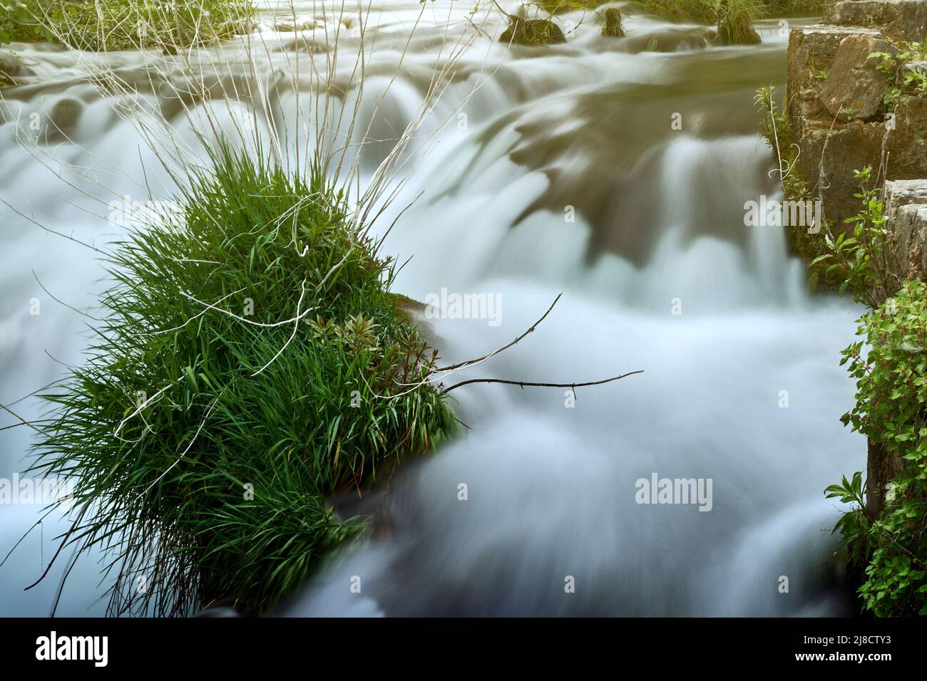 Gazon vert tuft sur une roche entre les eaux blanches moussant tortueuses d'une cascade, motion blur, Croatie Banque D'Images