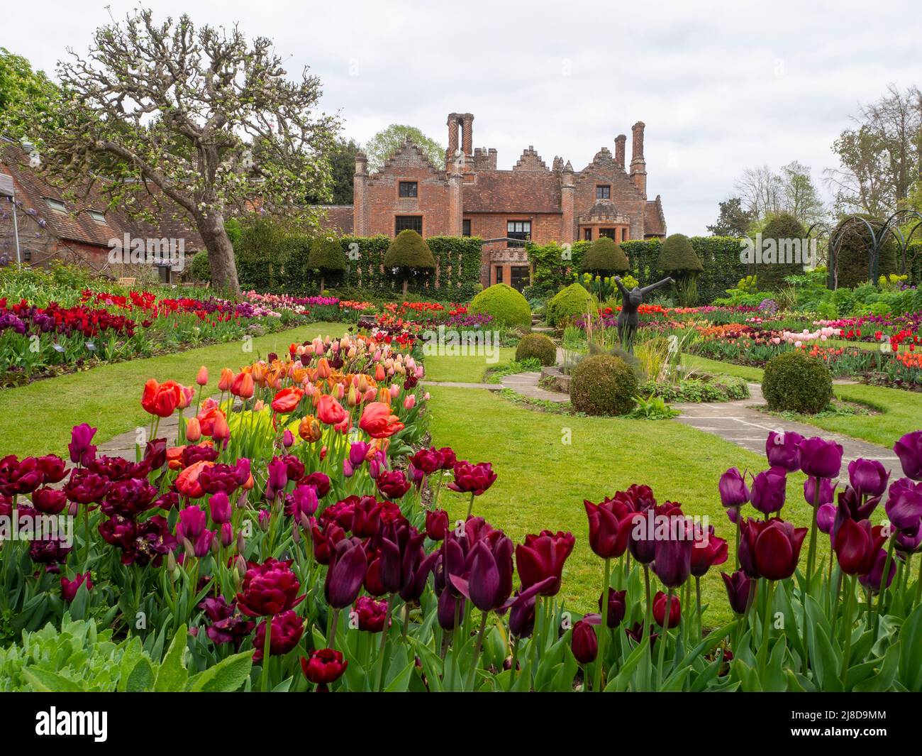 Chenies Manor Garden.View vers le Tudor Manor depuis le beau jardin en contrebas avec de nombreuses variétés de tulipes en fleur. Banque D'Images