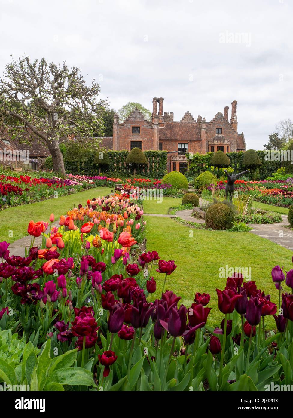 Chenies Manor Garden.vue portrait du magnifique jardin en contrebas avec de nombreuses variétés de tulipes. Banque D'Images