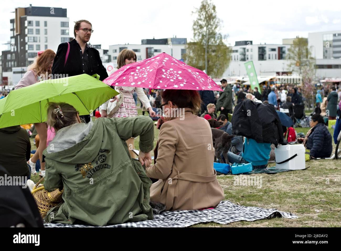 Festival de hanami au parc de cerisiers de Roihuvuori à Helsinki, Finlande 2022 Banque D'Images