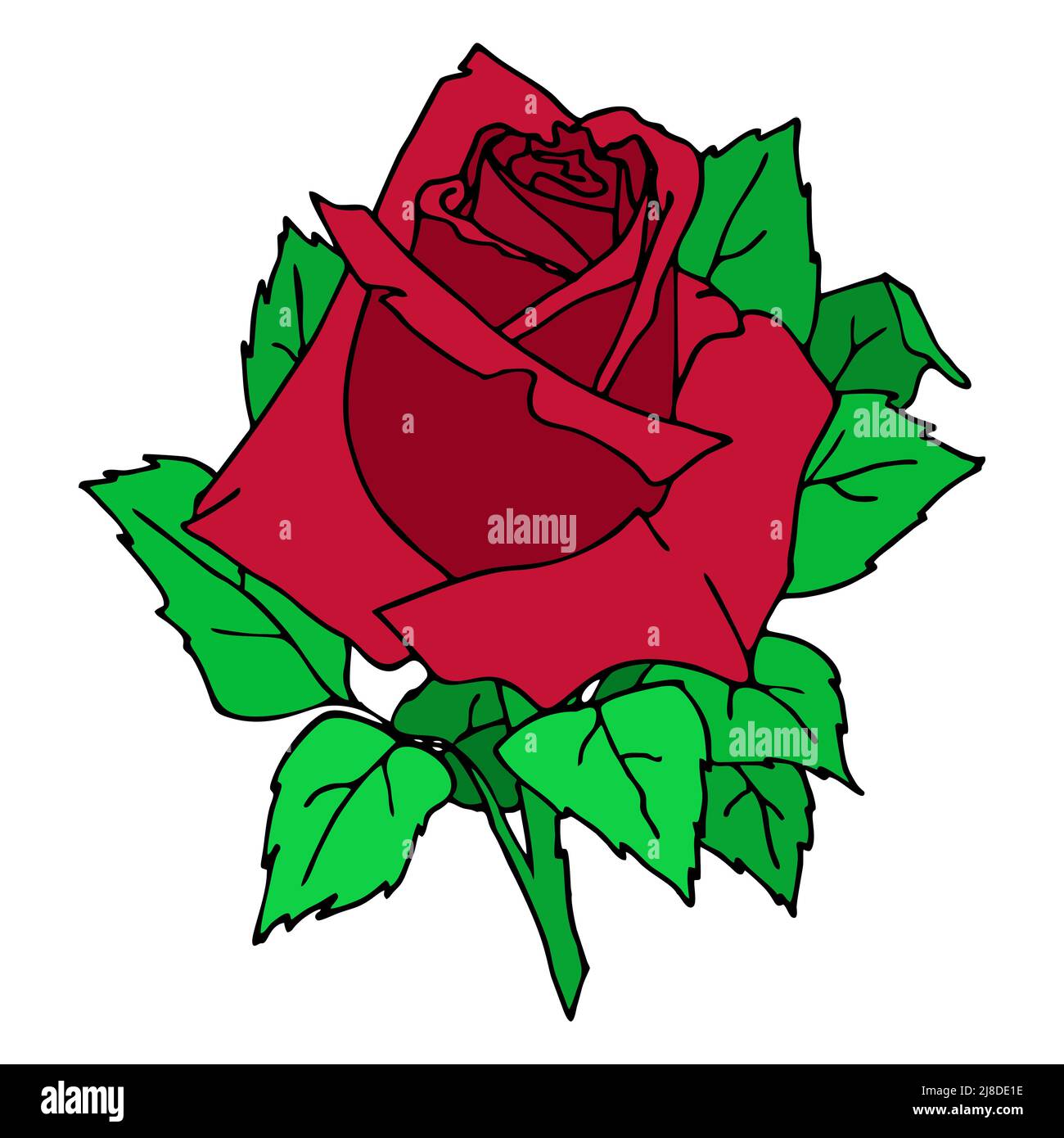 contour rouge rose fleur gros plan, motif floral, graphique couleur dessin, art Banque D'Images