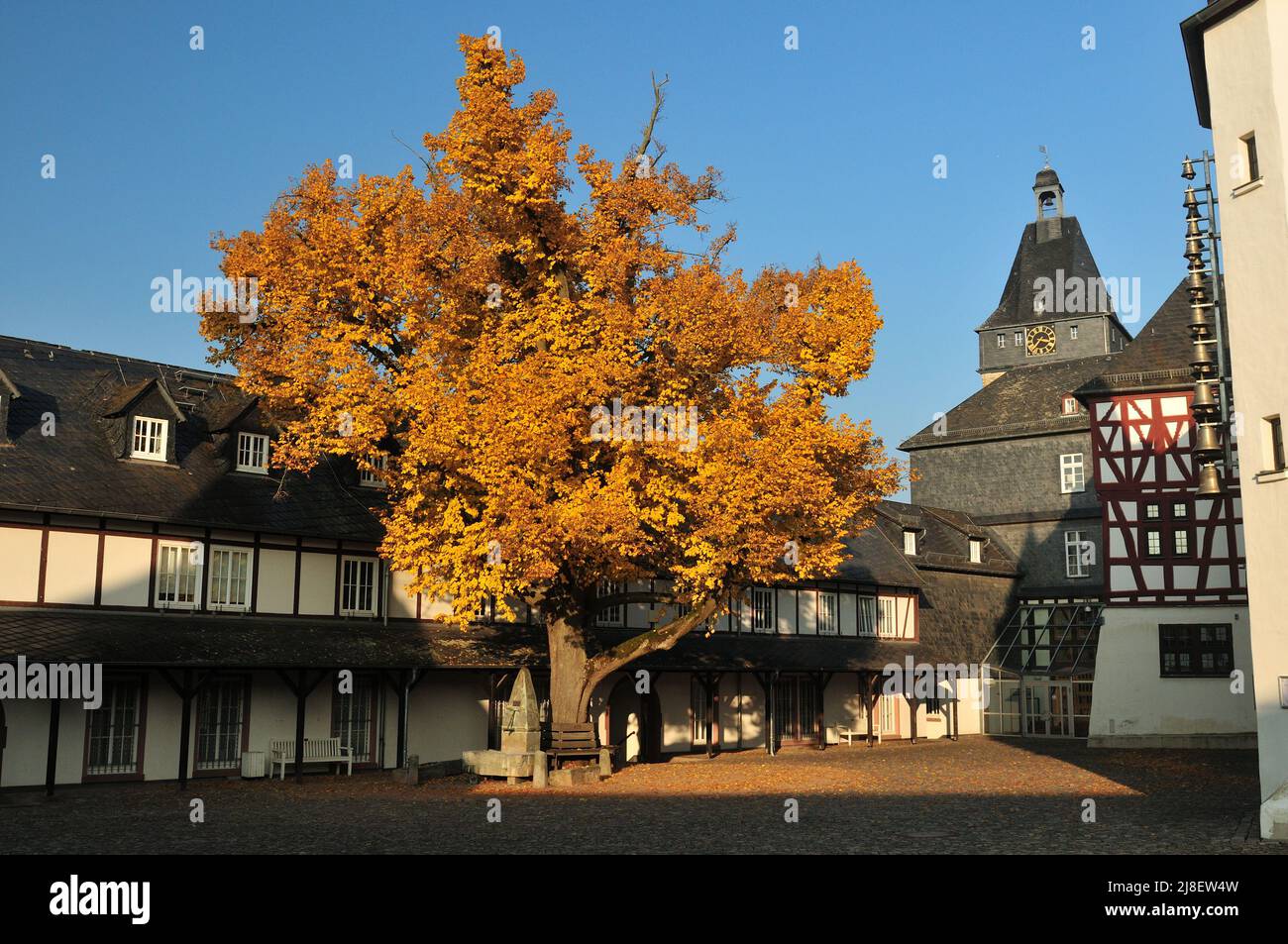 Magnifique arbre avec feuillages d'automne devant Une maison à colombages à Bad Camberg Hesse Allemagne lors D'Une belle journée ensoleillée d'automne avec Un ciel bleu clair Banque D'Images