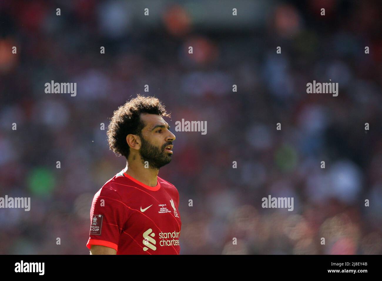 Londres, Royaume-Uni. 14th mai 2022. Mohamed Salah de Liverpool regarde. Finale de la coupe Emirates FA, Chelsea v Liverpool au stade Wembley à Londres le samedi 14th mai 2022. Cette image ne peut être utilisée qu'à des fins éditoriales. Utilisation éditoriale uniquement, licence requise pour une utilisation commerciale. Aucune utilisation dans les Paris, les jeux ou les publications d'un seul club/ligue/joueur.pic par Andrew Orchard/Andrew Orchard sports Photography/Alamy Live News crédit: Andrew Orchard sports Photography/Alamy Live News Banque D'Images