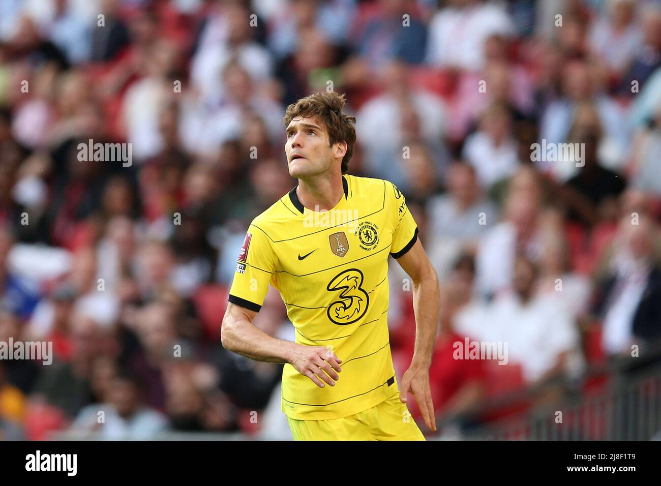 Londres, Royaume-Uni. 14th mai 2022. Marcos Alonso, de Chelsea, regarde. Finale de la coupe Emirates FA, Chelsea v Liverpool au stade Wembley à Londres le samedi 14th mai 2022. Cette image ne peut être utilisée qu'à des fins éditoriales. Utilisation éditoriale uniquement, licence requise pour une utilisation commerciale. Aucune utilisation dans les Paris, les jeux ou les publications d'un seul club/ligue/joueur.pic par Andrew Orchard/Andrew Orchard sports Photography/Alamy Live News crédit: Andrew Orchard sports Photography/Alamy Live News Banque D'Images