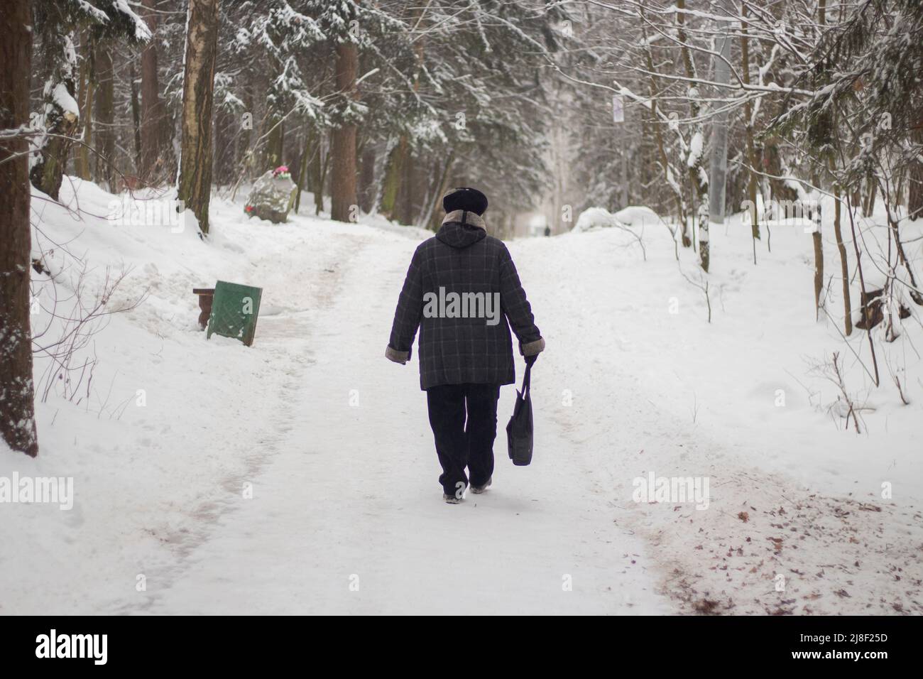 Un homme âgé marche dans le parc en hiver. Personnes en ville. Prise de vue depuis l'arrière. Retraité en Russie. Il fait froid. Banque D'Images