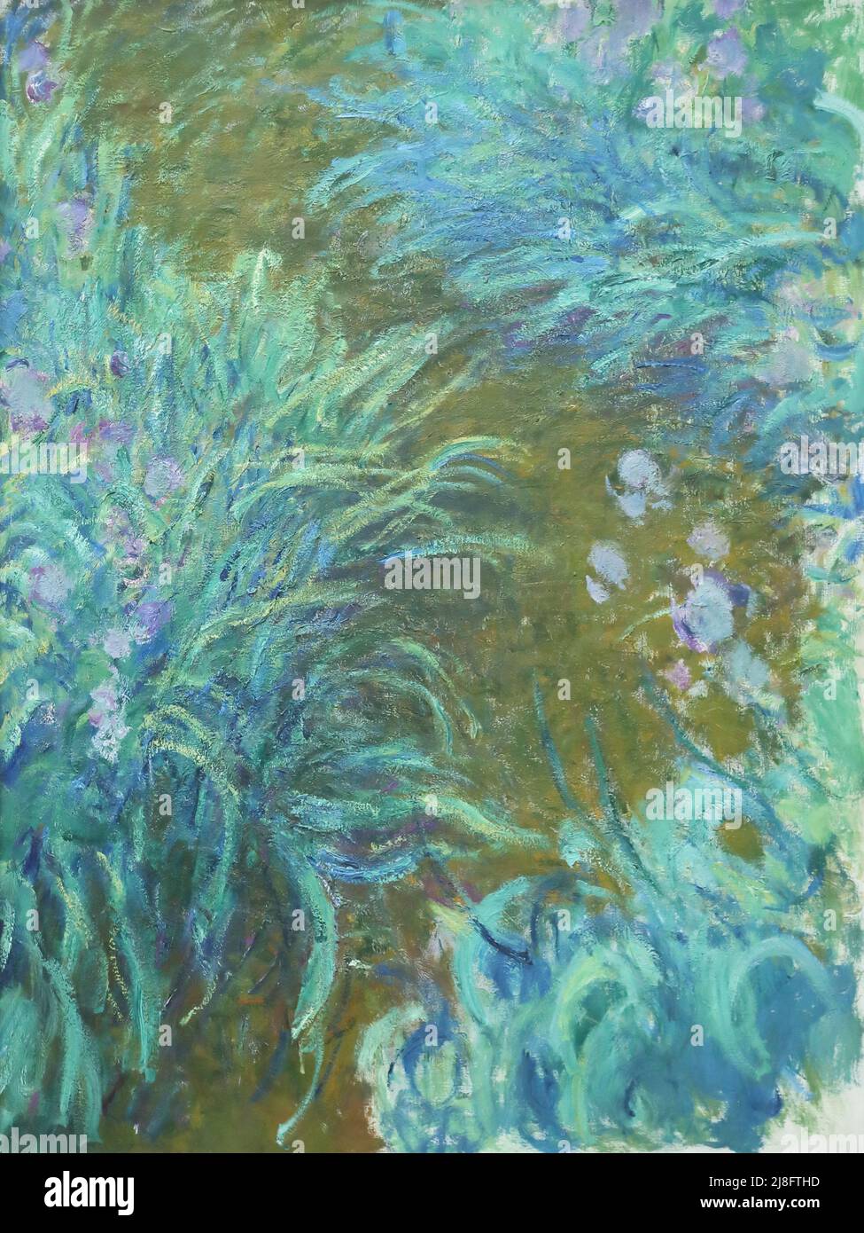 Iris du peintre impressionniste français Claude Monet à la National Gallery, Londres, Royaume-Uni Banque D'Images