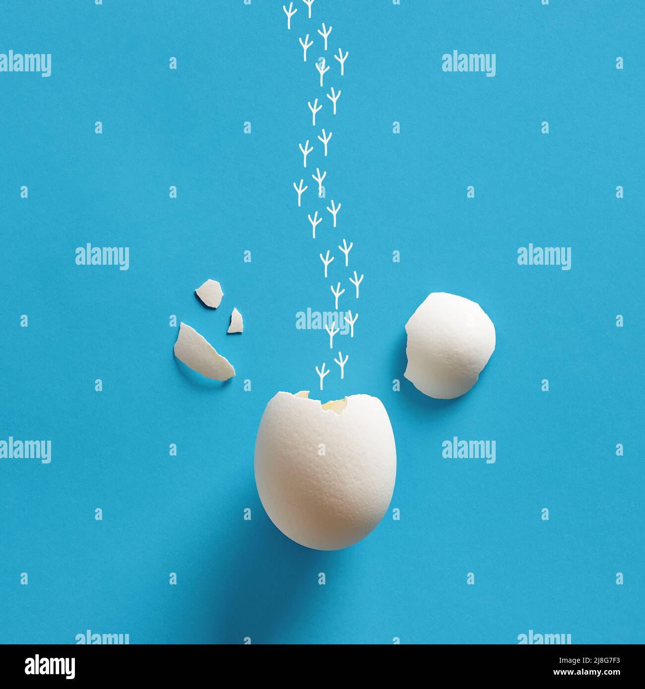 Coquille d'œuf de poulet blanc craquelé avec empreintes de pas. Échapper, s'arracher, liberté, concepts de naissance. Banque D'Images