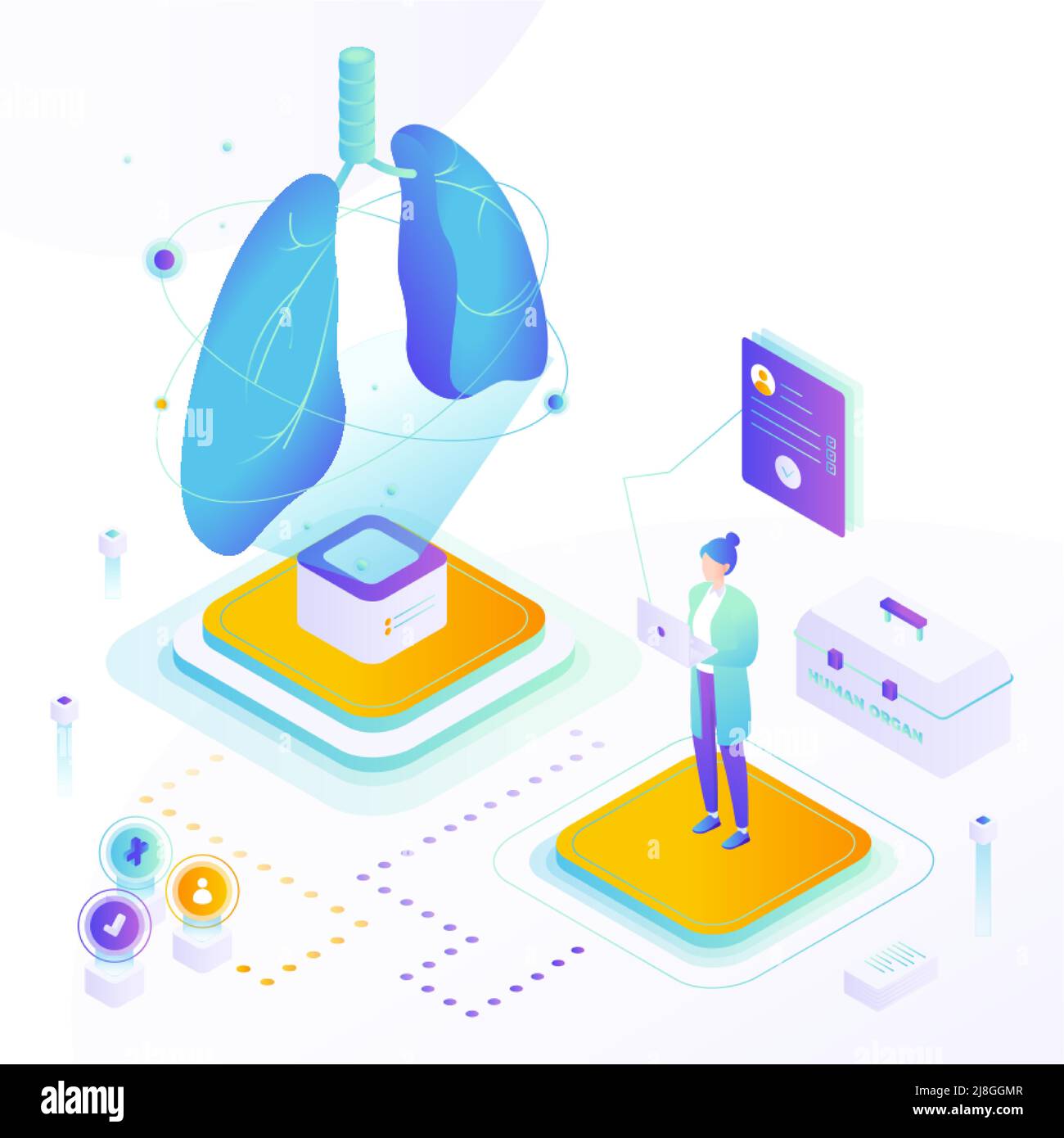 Test de donneur d'organe pulmonaire pour le vecteur de transplantation Illustration de Vecteur