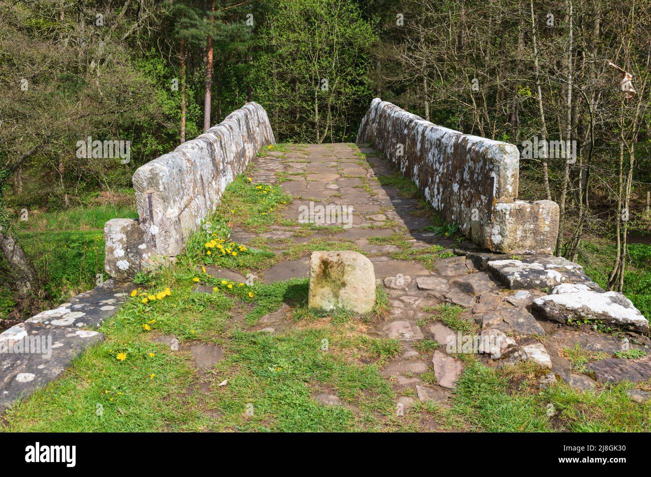 Pont Beggars au-dessus de la rivière Esk à Glaisdale, dans le parc national des Moors de North York Banque D'Images