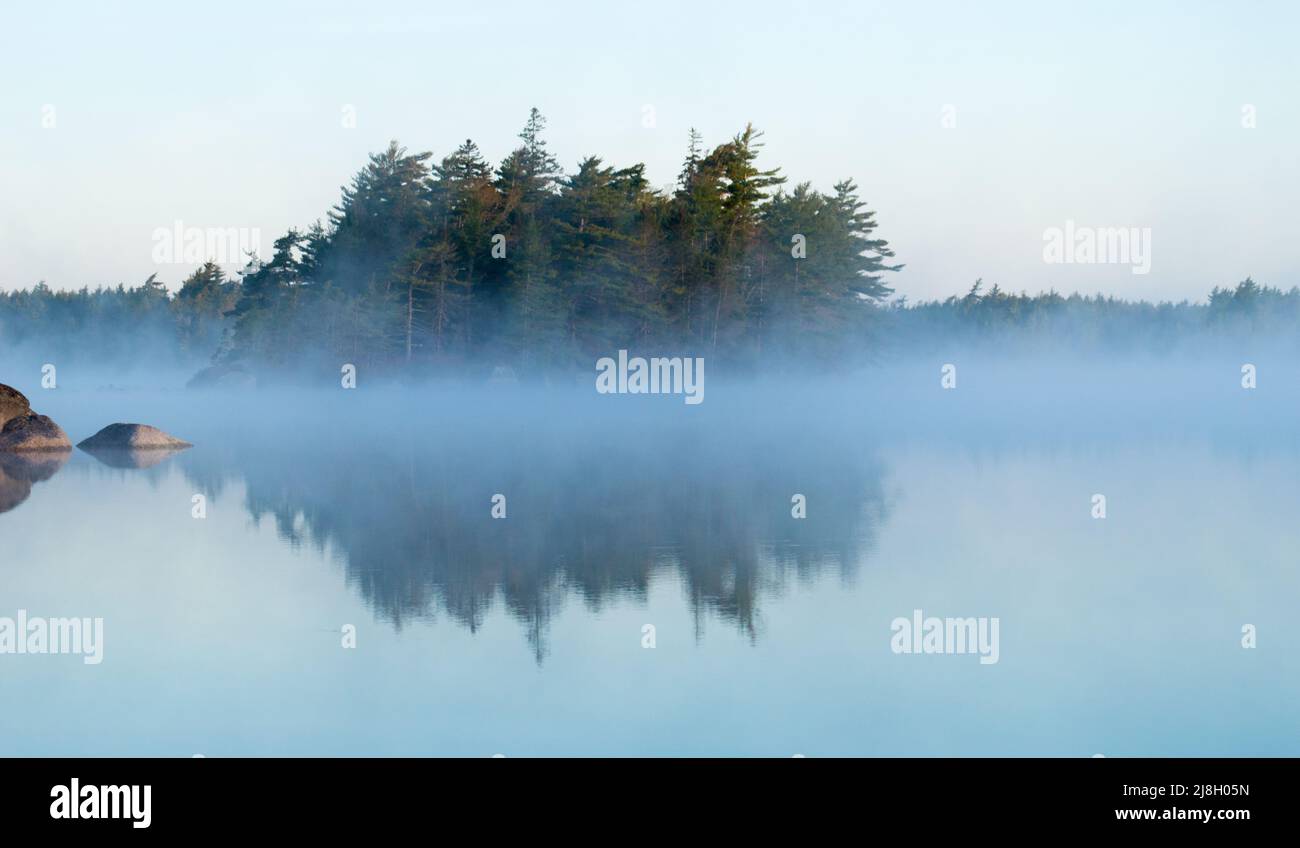 Brume matinale sur Irving Lake, N.-É Banque D'Images