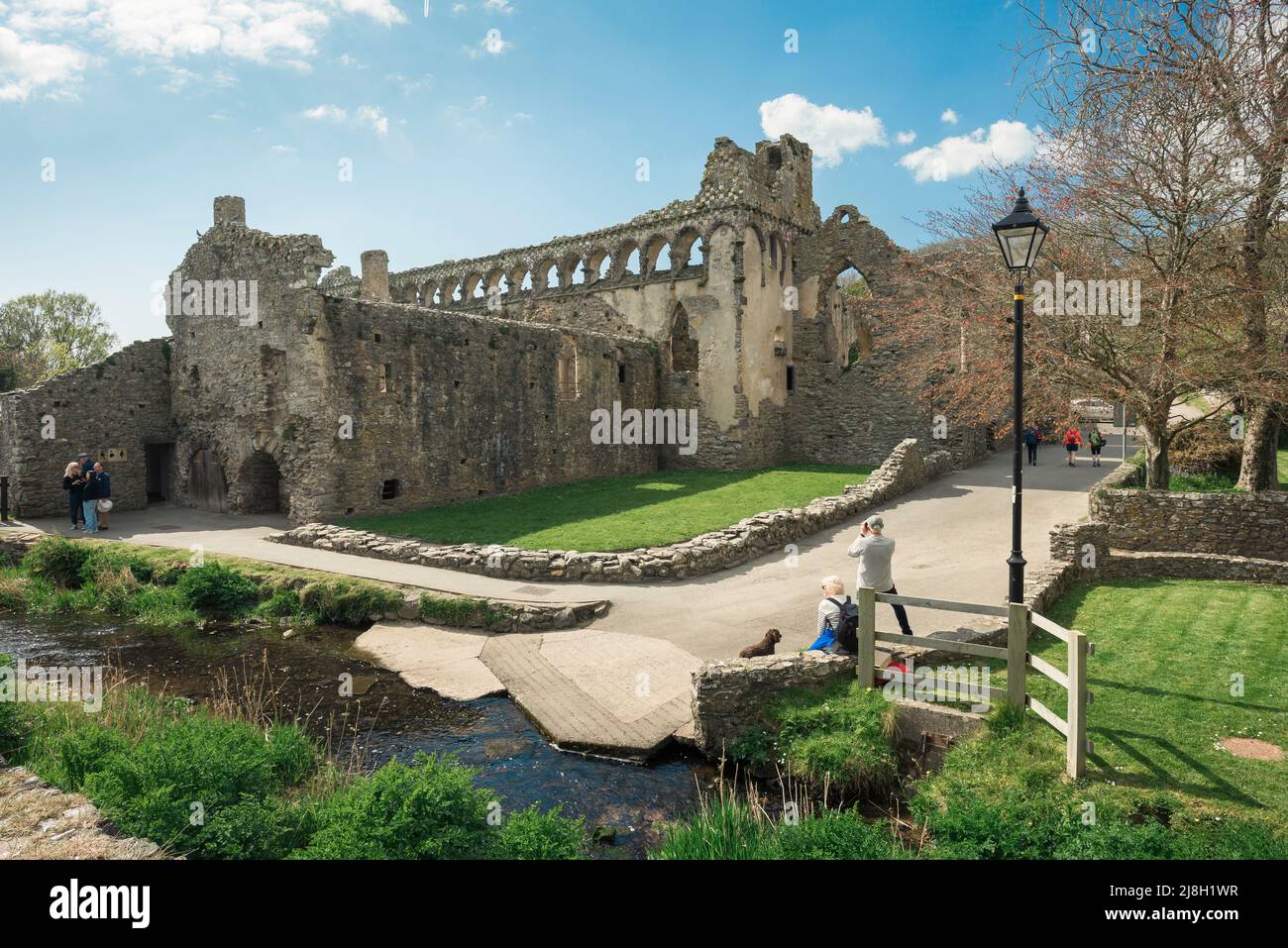 Palais de l'évêque Pembrokeshire de St David, vue à la fin du printemps de la face est des ruines du palais de l'évêque à St David, Pembrokeshire pays de Galles Banque D'Images