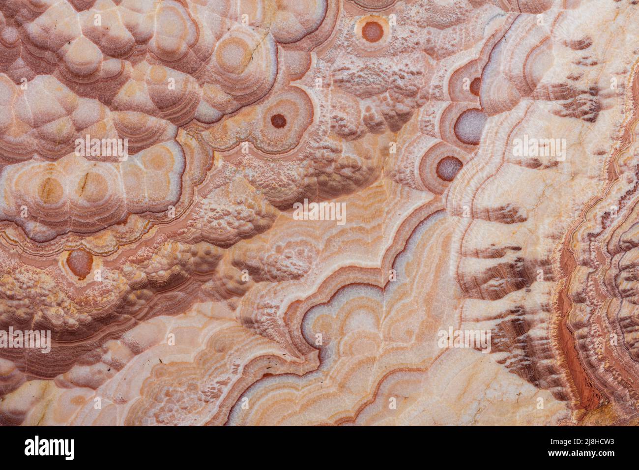 Fond Onyx Viola, belle texture. Photo de bloc. Banque D'Images