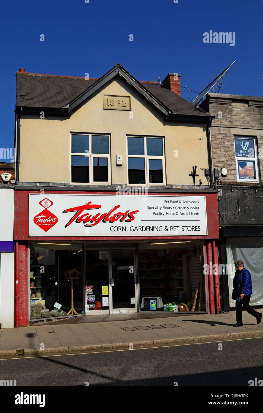 Taylors Corn Stores Alfreton. Sur la rue haute à Alfreton dans Derbyshire est une branche de Taylors les magasins de maïs vendant des animaux de compagnie et des fournitures de jardinage Banque D'Images