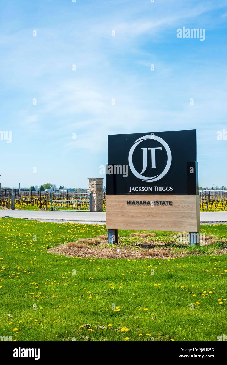 Jackson-Triggs, Niagara-on-the-Lake Banque D'Images